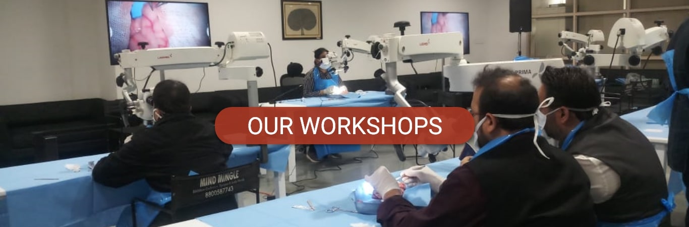 Our Workshops
