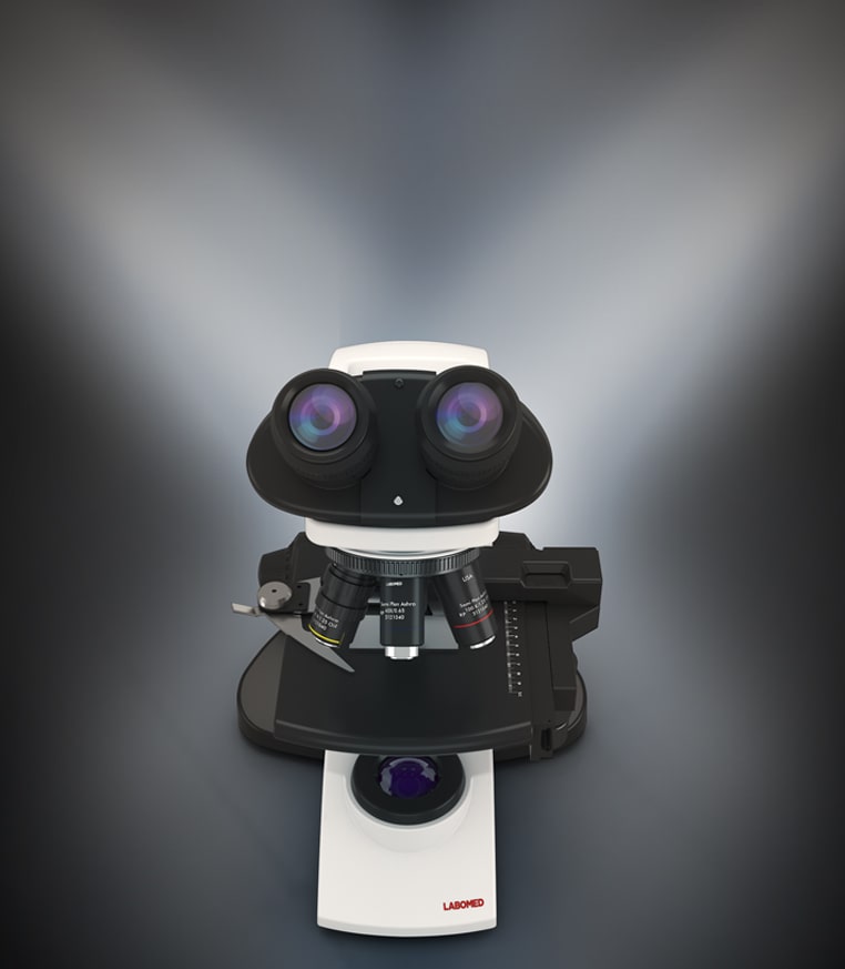 CxL Microscope view 4