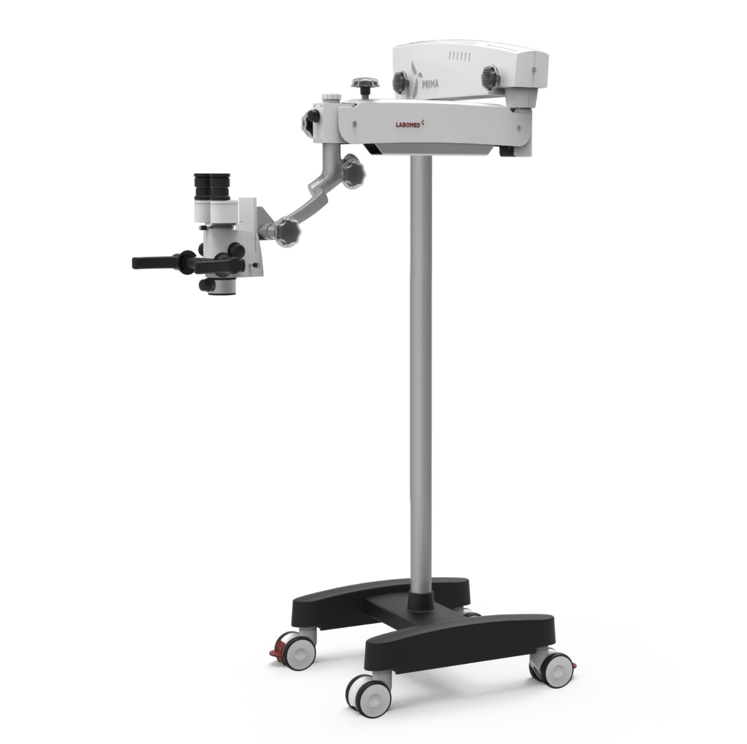 OTOLARYNGOLOGY (ENT)