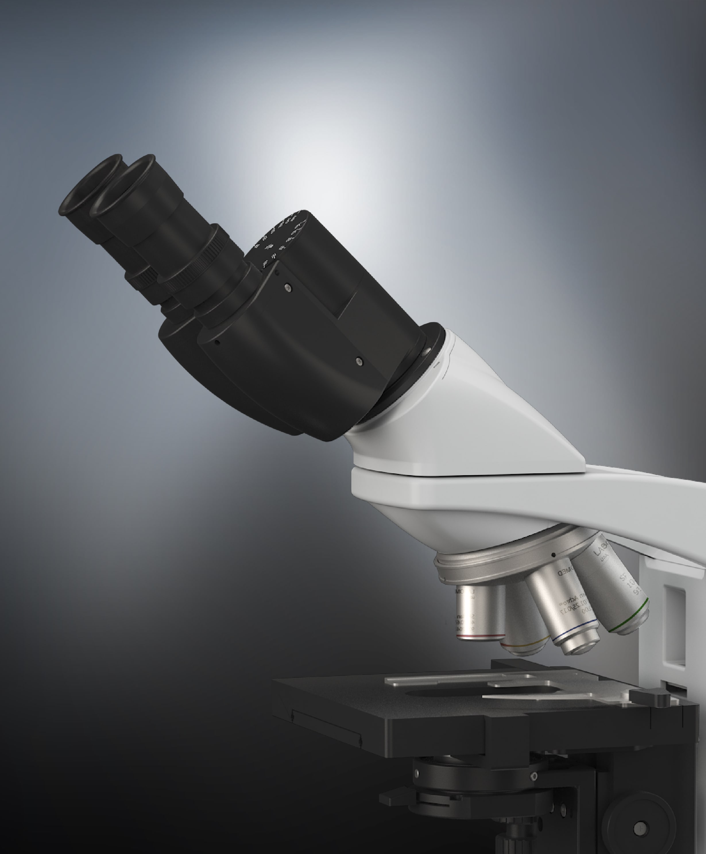 Lx 300 Microscope view 4