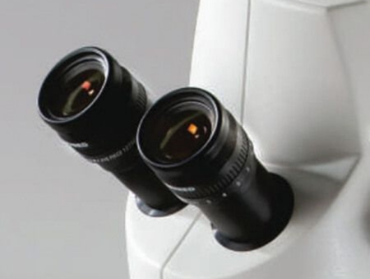 MULTILAYER OPTICAL COATINGS